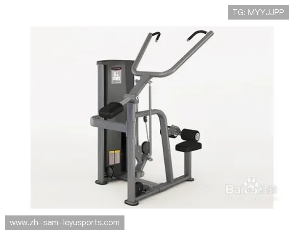 针对腰部训练的健身器材推荐